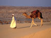 Spotlight on the Holy Land
