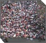 Lag B’omer Parade